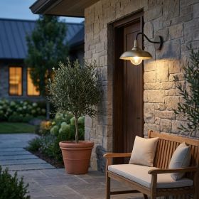 Brass Seeded Dimmable Outdoor Hanging Light With Brass Shades