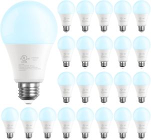 LED Light Bulbs, 60 Watt Equivalent LED Bulbs, Long Lifespan High Brightness 800LM Daylight White 5000K