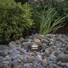 Savannah Landscape Well Light with Gravel Guard, Black