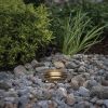 Savannah Landscape Well Light with Gravel Guard, Antique Bronze