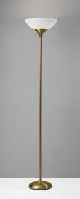 Brass Metal With White Shade