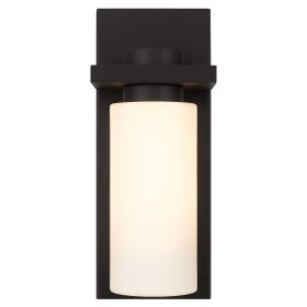 Bronze Colorful LED Dimmable Outdoor Hanging Light