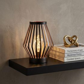 9" Black Metal Pierced Novelty Desk Lamp With Novelty Shade