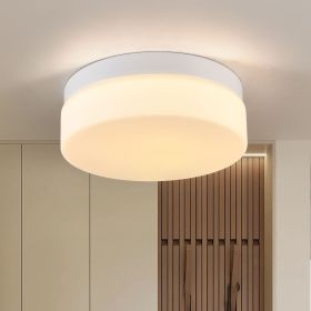 1 PACK LED Flush Mount Ceiling Light Fixture (Color: White, Material: Iron)